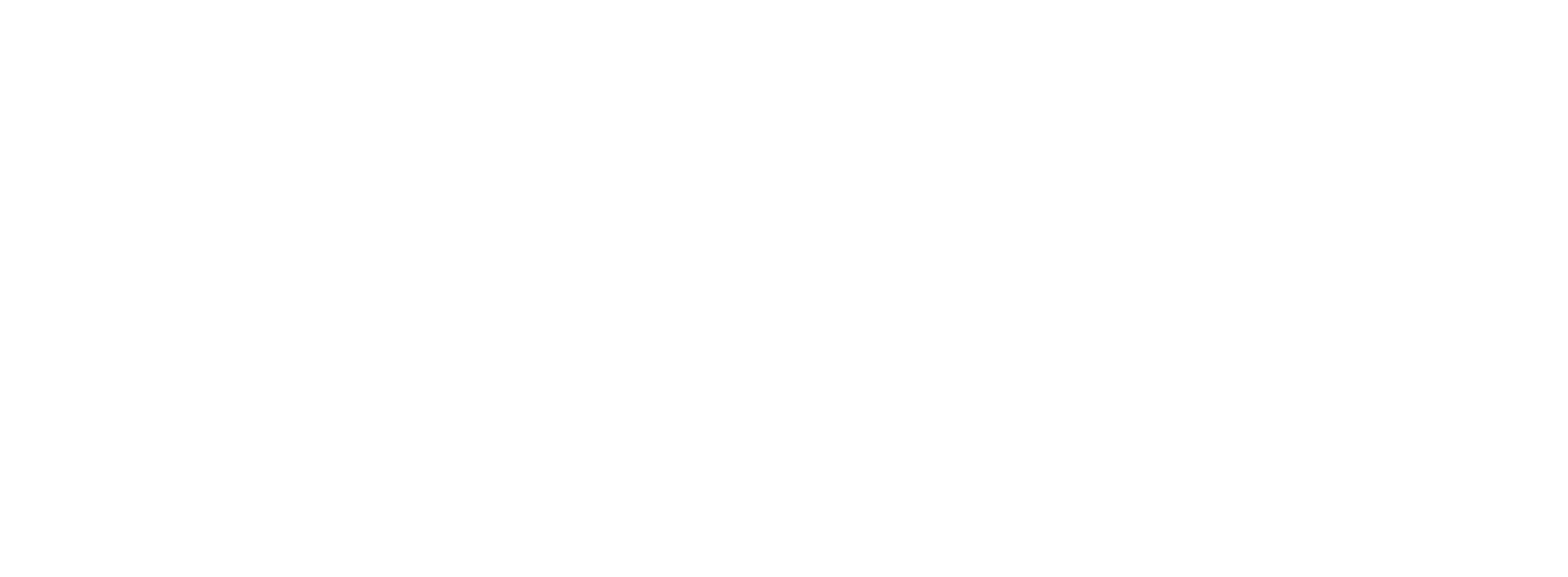 安徽中丞控股集團(tuán)有限公司